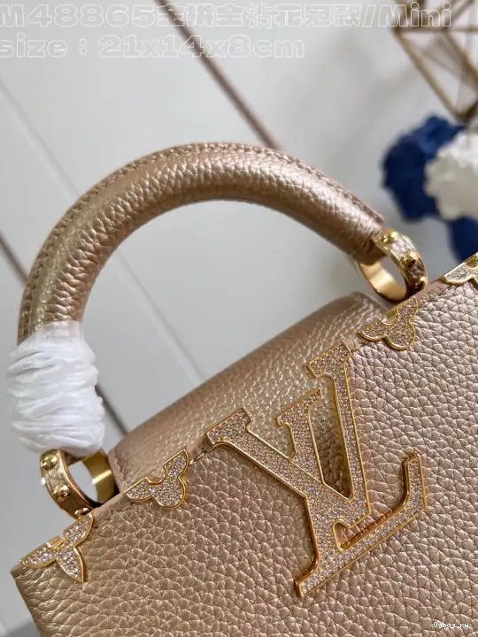 MINI-21*14*8CM VUITTON CAPUCINES LOUIS 0420